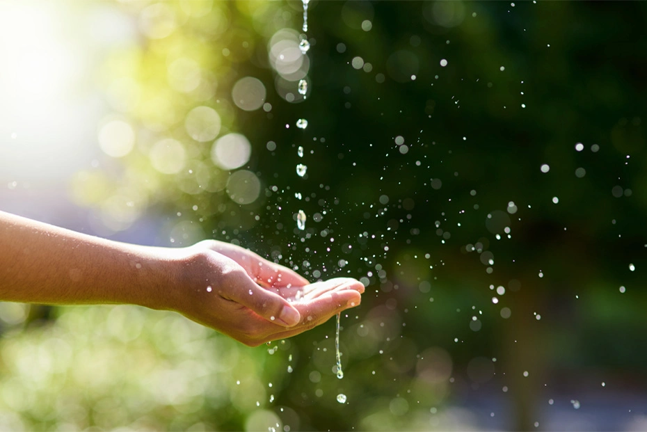 Eine Hand fängt fallende Wassertropfen vor einem grünen, unscharfen Naturhintergrund auf.